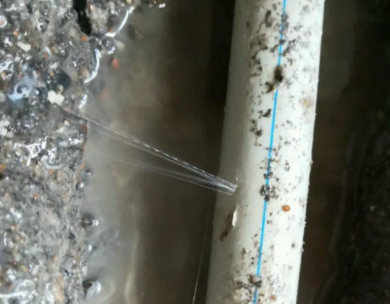 陕州测漏水哪家好