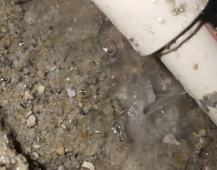 陕州测漏水电话号码