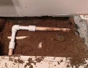 陕州测漏水哪家好