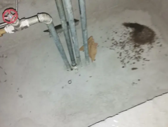 陕州卫生间测漏水价格明细