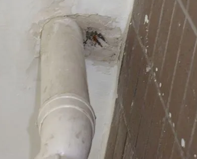 陕州漏水检测哪家好